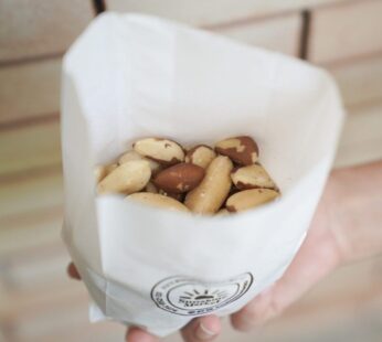 Brazil Nuts (100g)